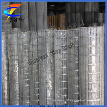 Galvanized & PVC Coated Welded Wire Mesh